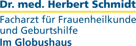 Schmidt Herbert Dr. med. in Salzgitter - Logo